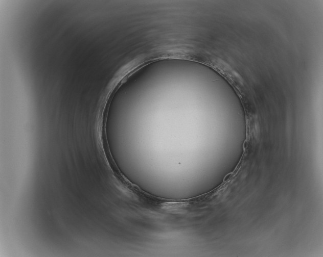 X0000112180051200908211508