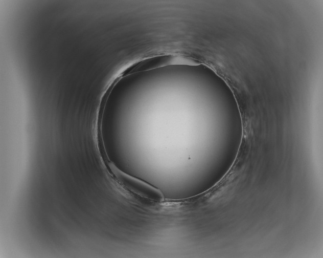 X0000112180052200908211508