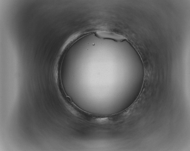 X0000112180054200908211508