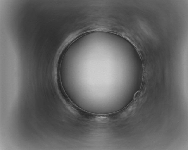 X0000112180055200908211508