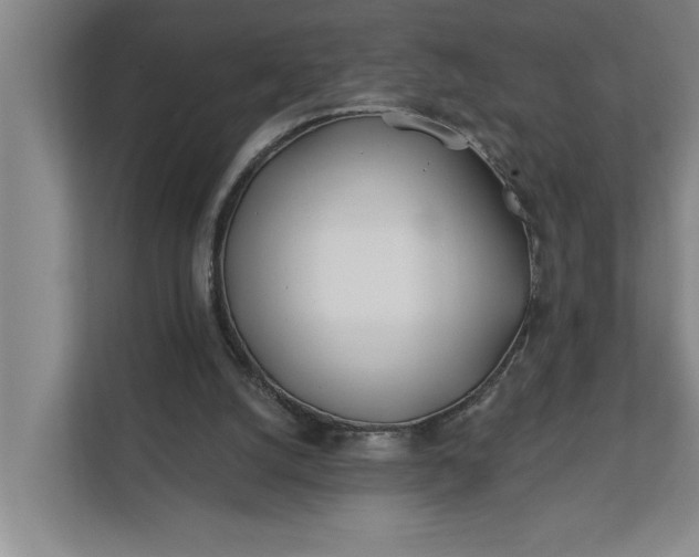 X0000112180056200908211508