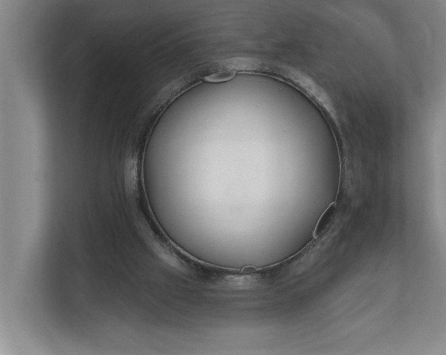 X0000112180057200908211508