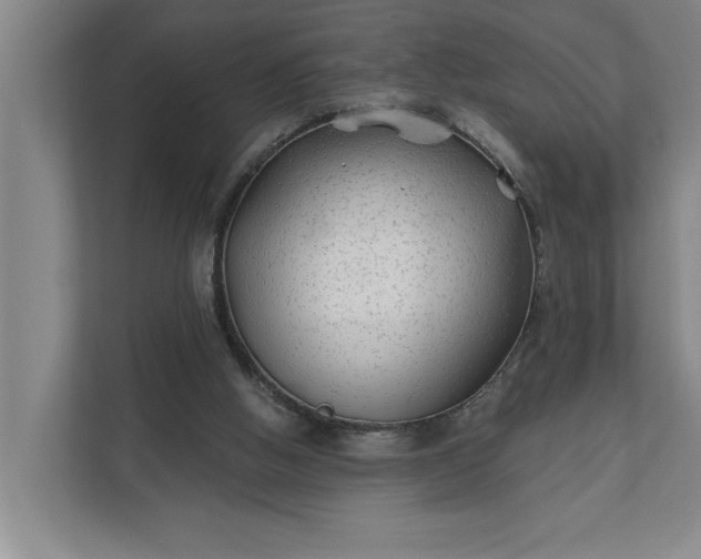 X0000112180058200908211508