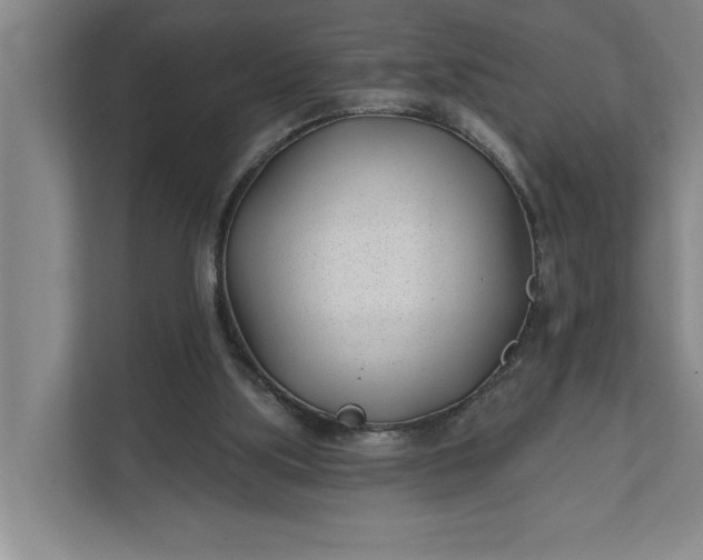 X0000112180059200908211508