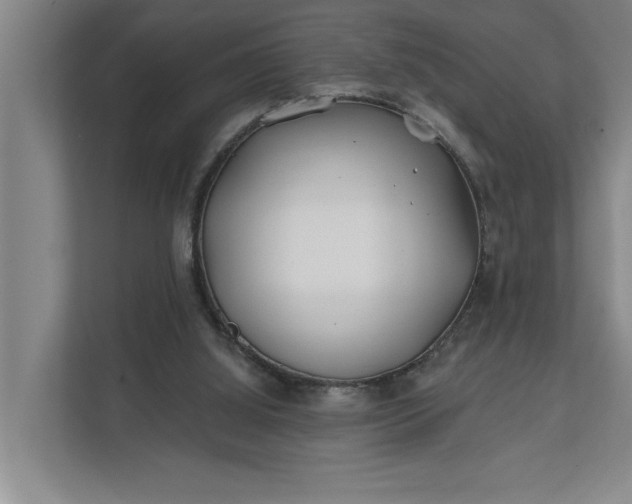 X0000112180060200908211508