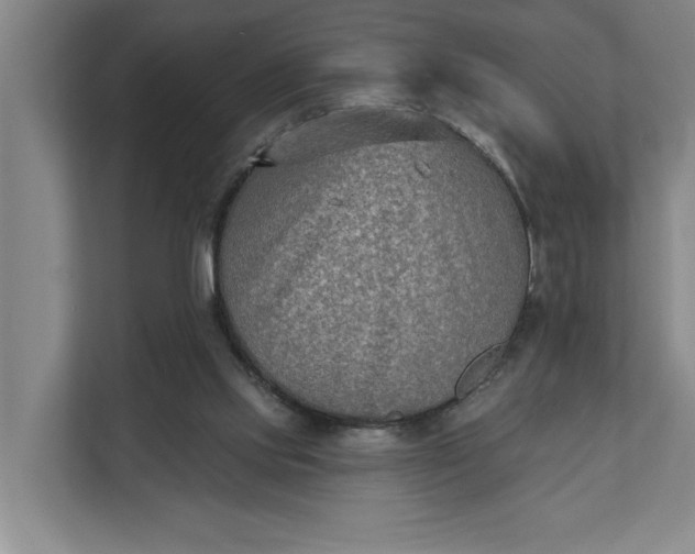 X0000112180061200908211508