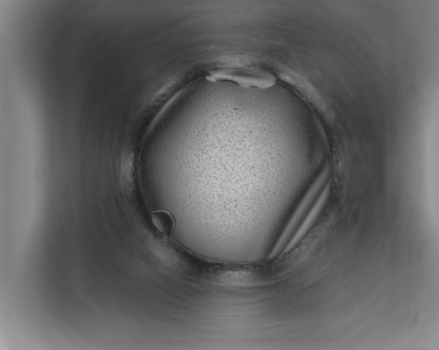 X0000112180066200908211508