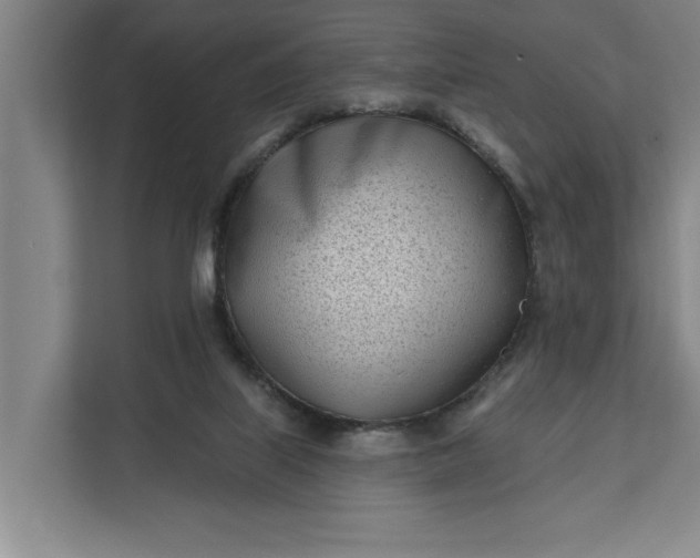 X0000112180067200908211508