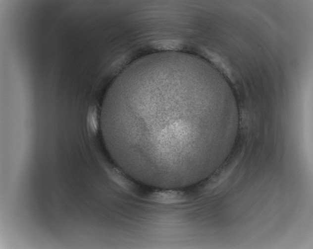 X0000112180069200908211508