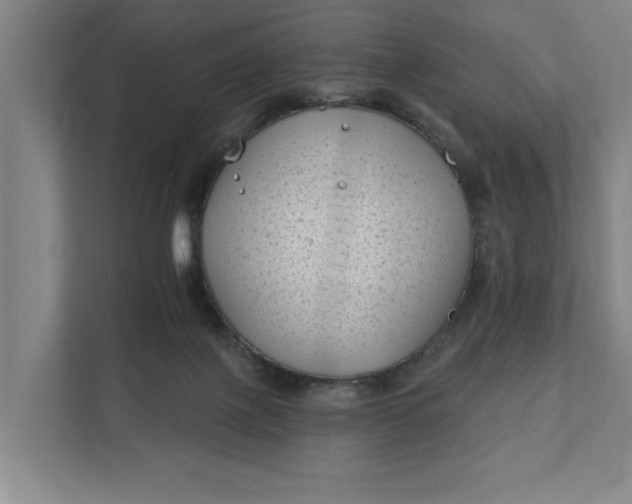 X0000112180075200908211508