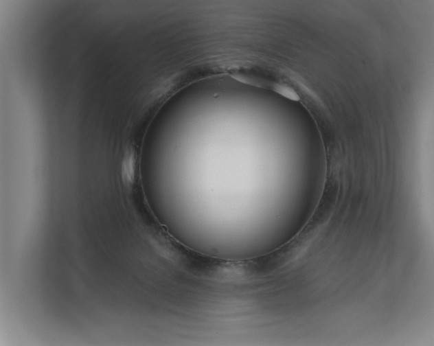 X0000112180076200908211508