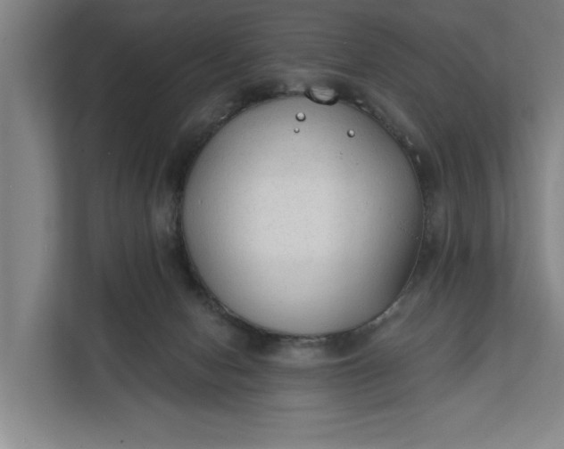 X0000112180078200908211508