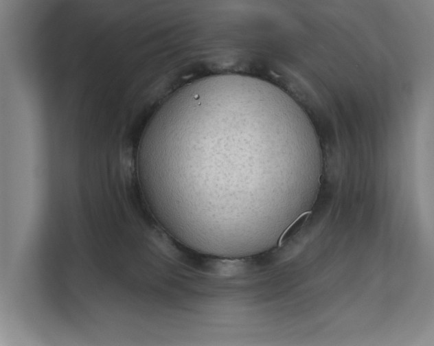 X0000112180085200908211509