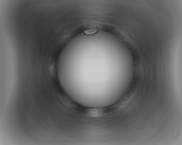 X0000112180088200908211509