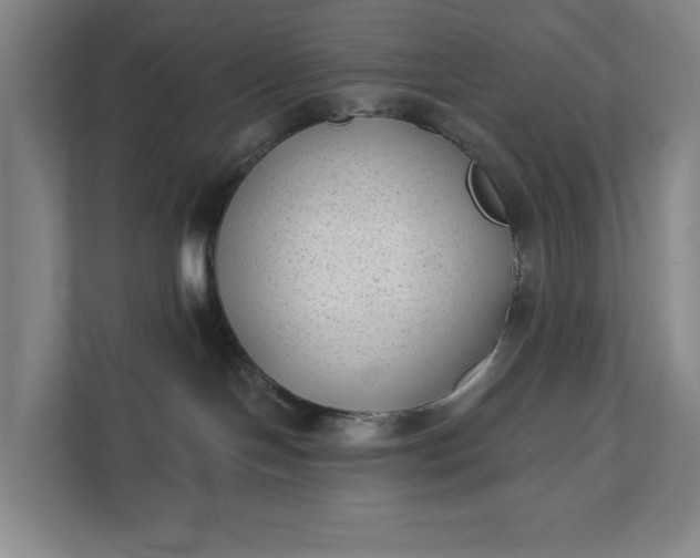 X0000112180094200908211509