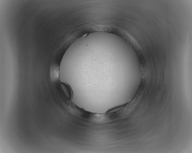 X0000112180095200908211509