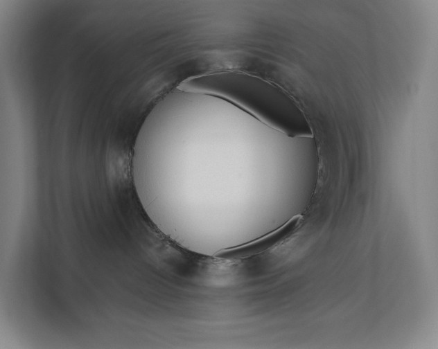 X0000112180096200908211509