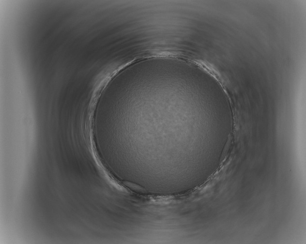 X0000112180097200908211508