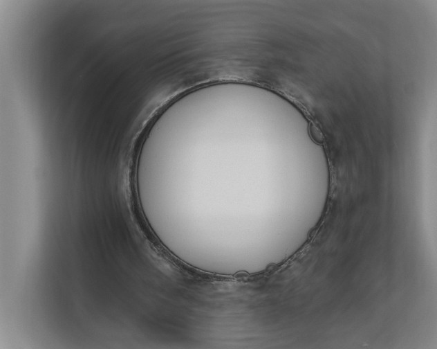 X0000112180098200908211508