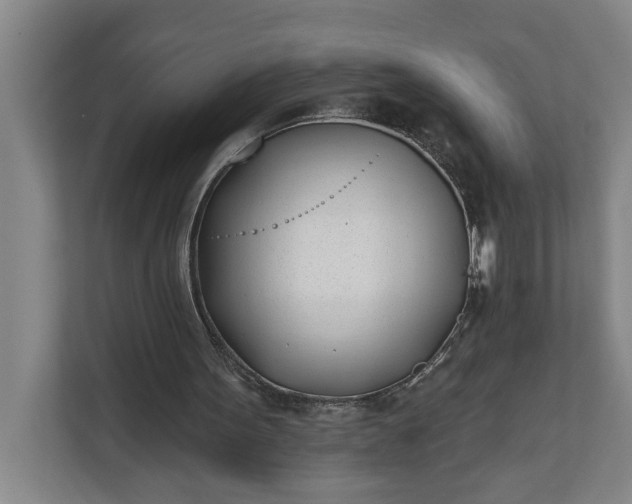 X0000112180099200908211508