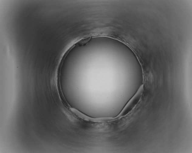 X0000112180100200908211508