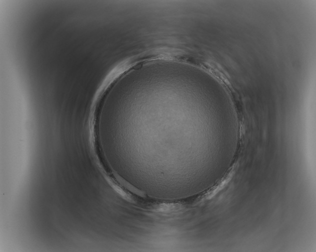 X0000112180101200908211508