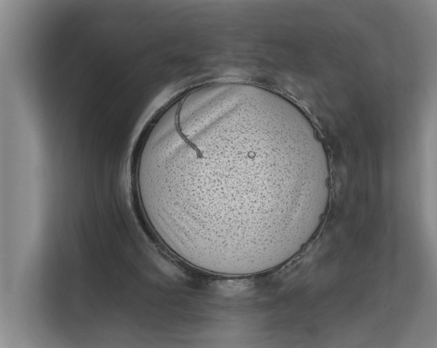 X0000112180102200908211508