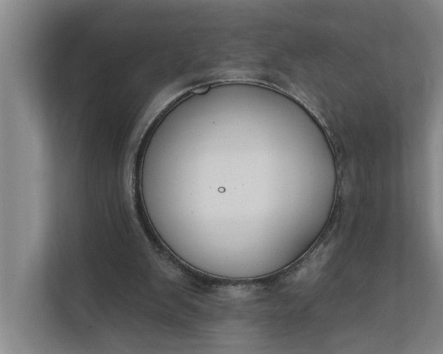 X0000112180103200908211508