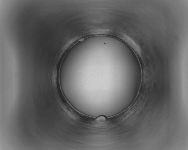 X0000112180107200908211508