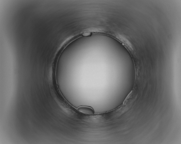 X0000112180108200908211508