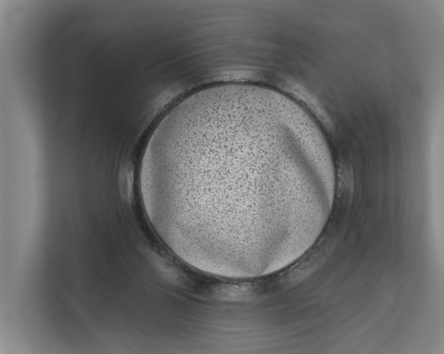 X0000112180110200908211508