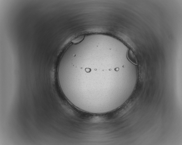 X0000112180111200908211508