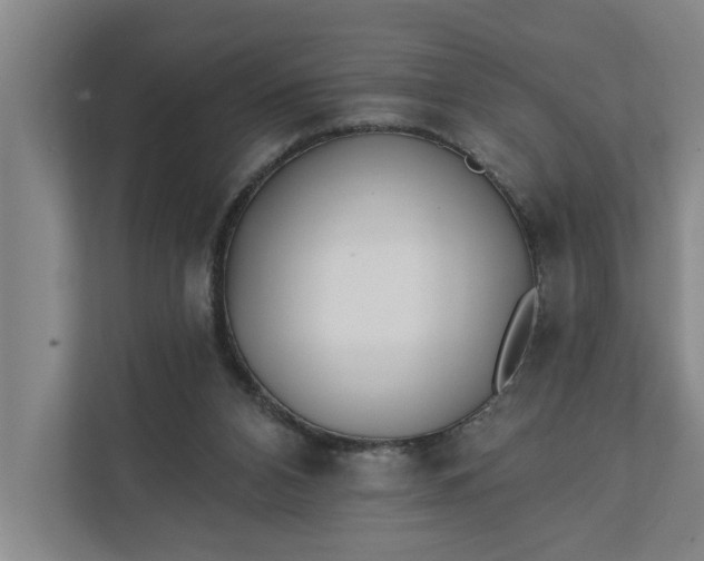 X0000112180112200908211508