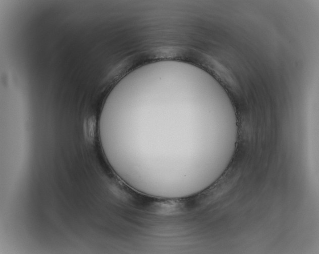 X0000112180118200908211508