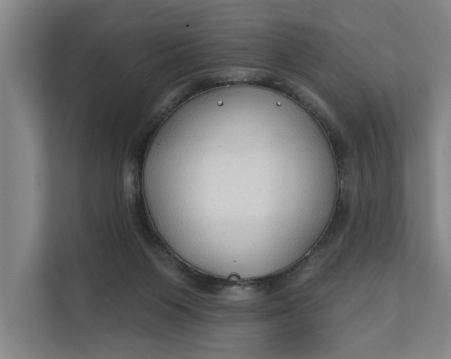 X0000112180119200908211508