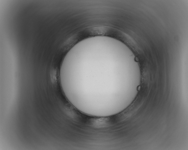 X0000112180122200908211508