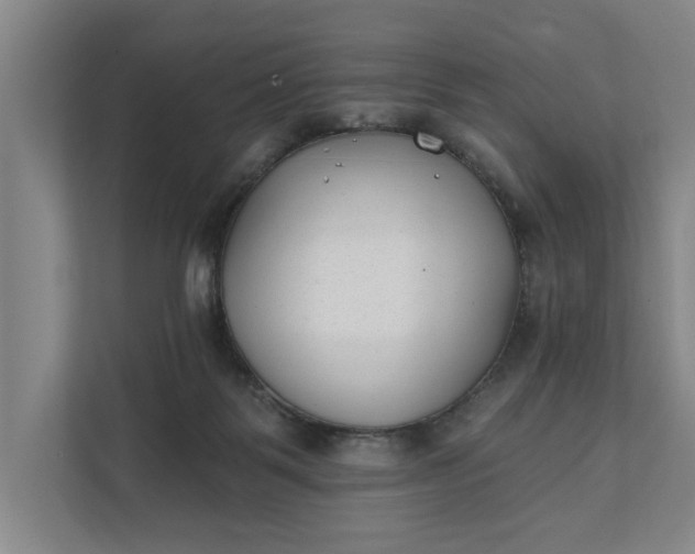 X0000112180123200908211508