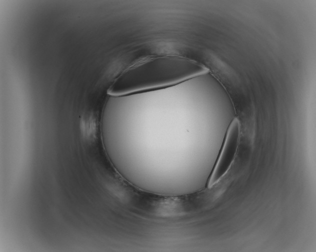 X0000112180124200908211508