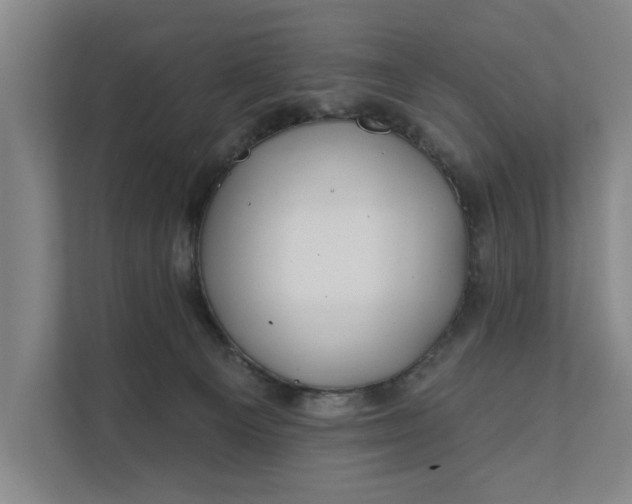 X0000112180129200908211507