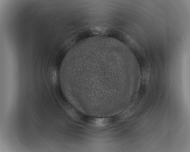 X0000112180130200908211507