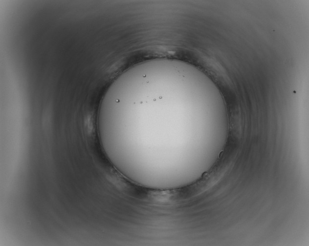 X0000112180131200908211507