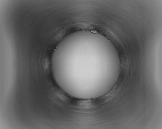 X0000112180132200908211507