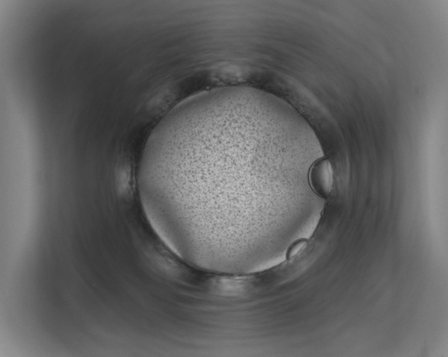 X0000112180134200908211507