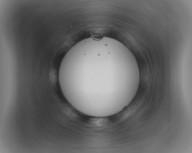 X0000112180135200908211507