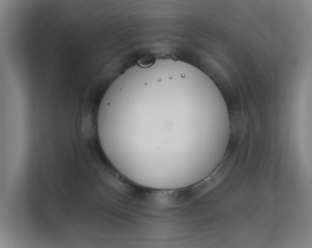 X0000112180136200908211507