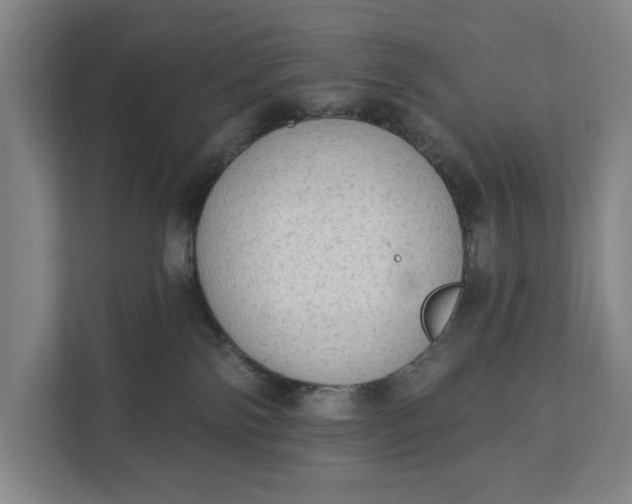 X0000112180138200908211507