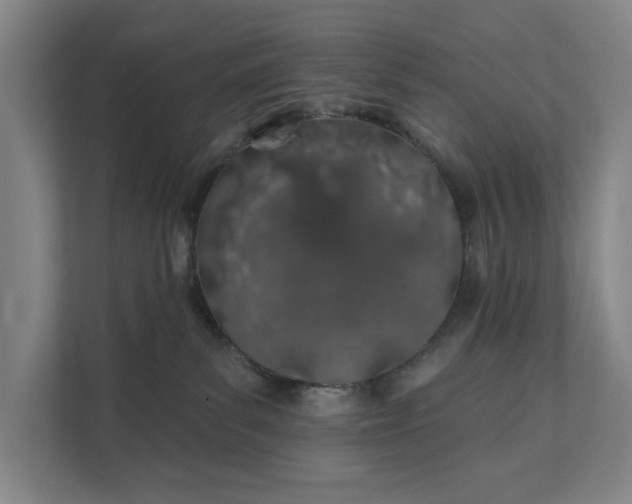 X0000112180139200908211507