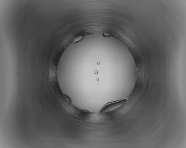 X0000112180141200908211507