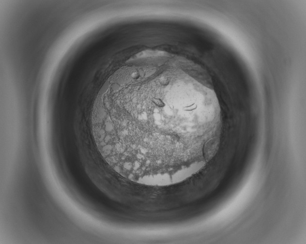 X0000112180143200908211507