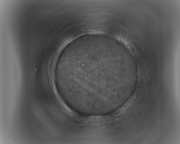 X0000112180145200908211507